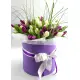 Mix Tulip in a hat box