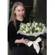 White tulips in a hat box White tulips in a hat box