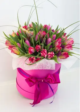 51 peony tulips in a box (imported, Netherlands)