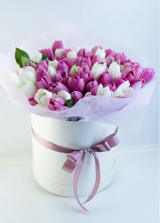 White and pink tulips in a box