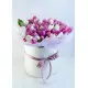 White and pink tulips in a box