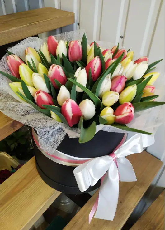 Mix Tulip in a hat box