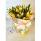 Mix Tulip in a hat box