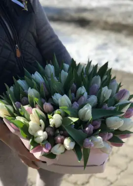 51 tulips in a hat box