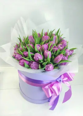 Violet tulips in a hat box