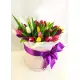 Mix Tulip in a hat box