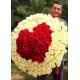 Heart of passion Heart of passion