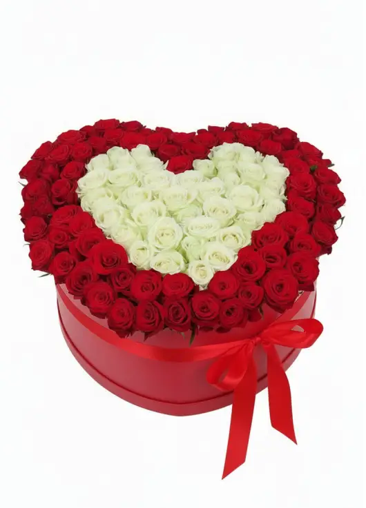 101 roses in a heart box “Contour”