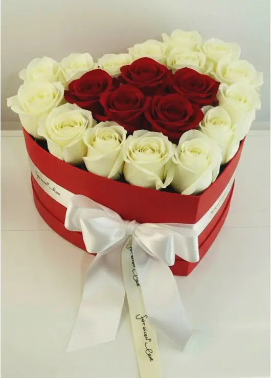 25 roses in a heart box “Contour”