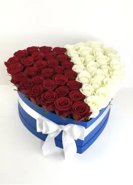 51 roses in a heart box “Contrast”