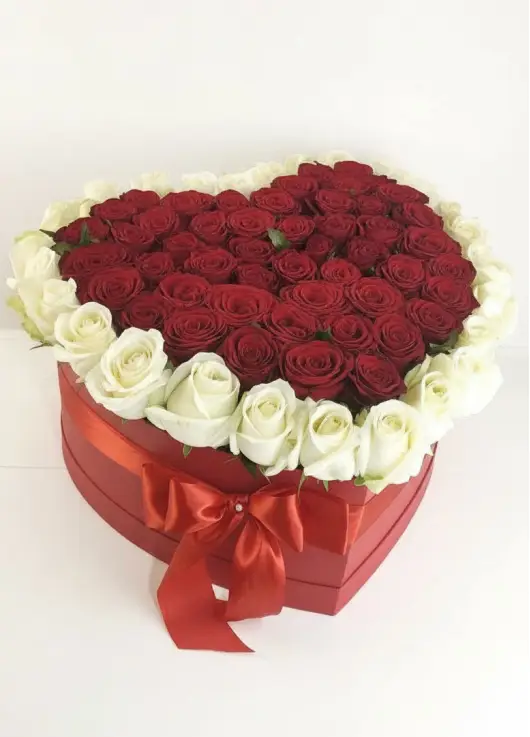 51 roses in a heart box “Contour”