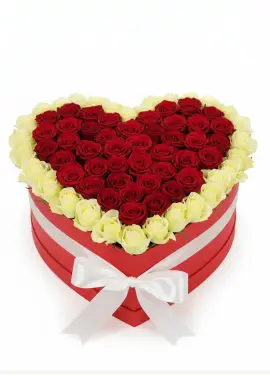 75 roses in a heart box “Contour”