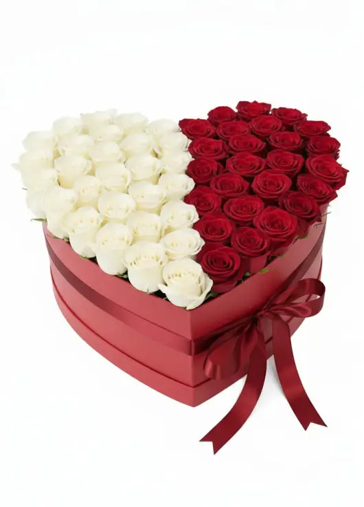 75 roses in a heart box “Contrast”