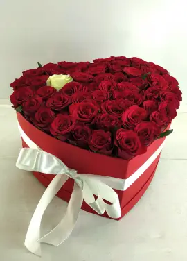 My heart for the one