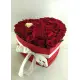 My heart for the one