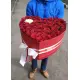 My heart for the one My heart for the one