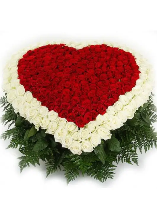 Heart of passion Heart of passion