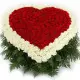 Heart of passion Heart of passion