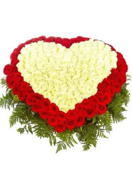 Heart of passion Heart of passion