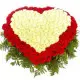 Heart of passion Heart of passion