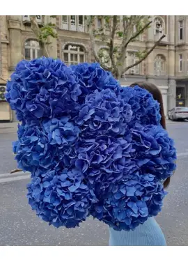 Bouquet of 11 blue hydrangeas