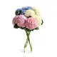 Bouquet of 11 hydrangeas mix