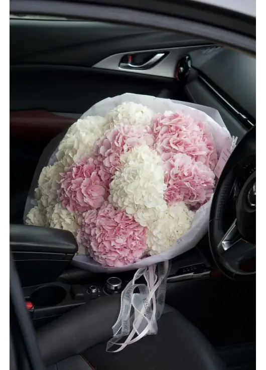 Bouquet of 11 hydrangeas mix
