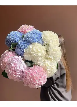 Bouquet of 11 hydrangeas mix