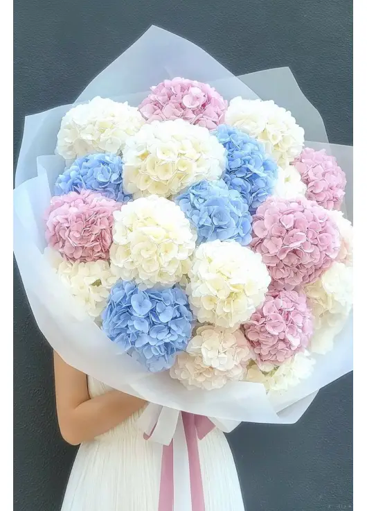 Bouquet of 15 hydrangeas mix