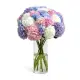 Bouquet of 25 hydrangeas mix