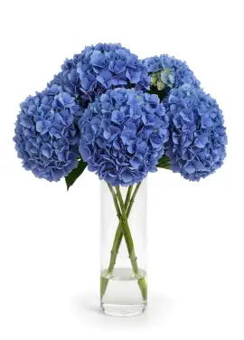 Bouquet of 5 blue hydrangeas
