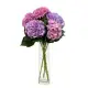 Bouquet of 5 hydrangeas mix