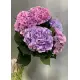 Bouquet of 5 hydrangeas mix