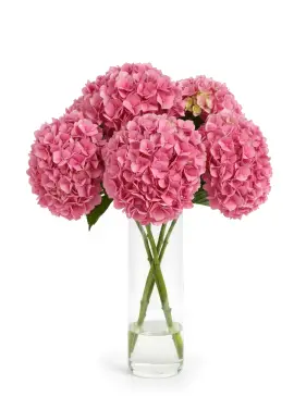 Bouquet of 5 pink hydrangeas