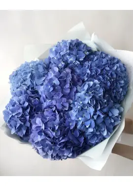 Bouquet of 7 blue hydrangeas