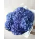 Bouquet of 7 blue hydrangeas