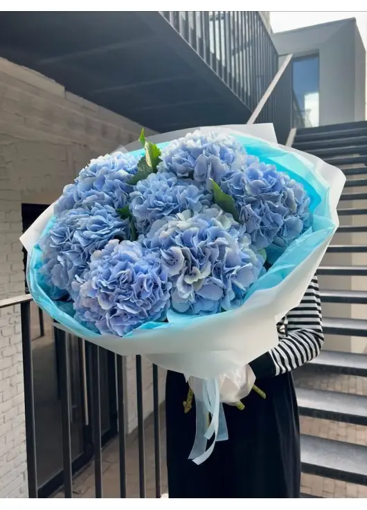 Bouquet of 7 blue hydrangeas
