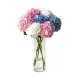 Bouquet of 7 hydrangeas mix