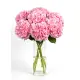 Bouquet of 7 pink hydrangeas