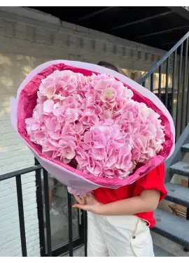 Bouquet of 7 pink hydrangeas