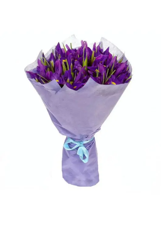 Iris bouquet Iris bouquet