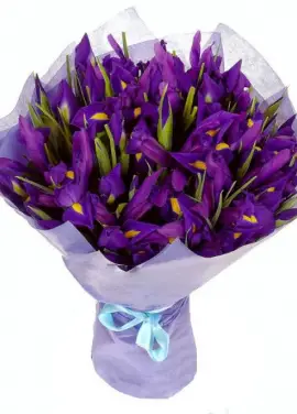 Iris bouquet