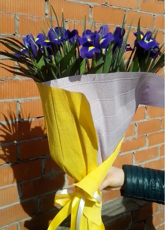 Iris bouquet Iris bouquet