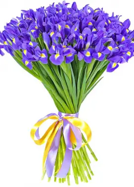 Iris bouquet
