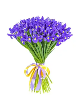 Iris bouquet