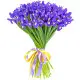 Iris bouquet Iris bouquet