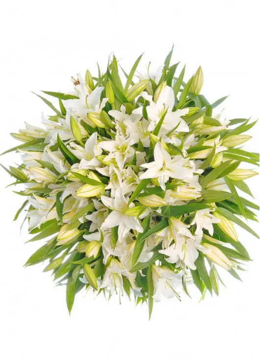 Bouquet of lilies Dnepr Bouquet of lilies Dnepr