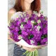 Bouquet of purple mattiolla Bouquet of purple mattiolla
