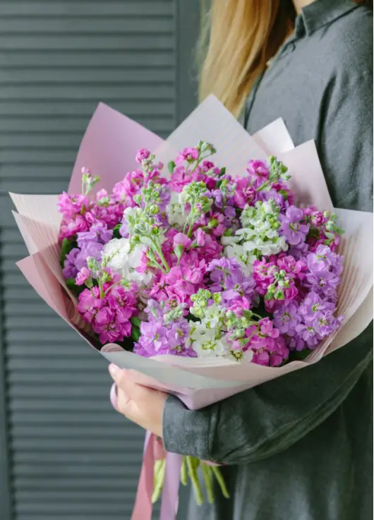 Bouquet of mix mattiolla