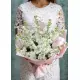 Bouquet of white mattiolla